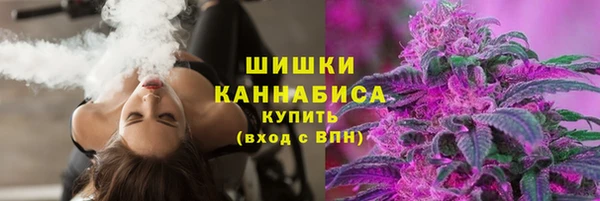 2c-b Каменка