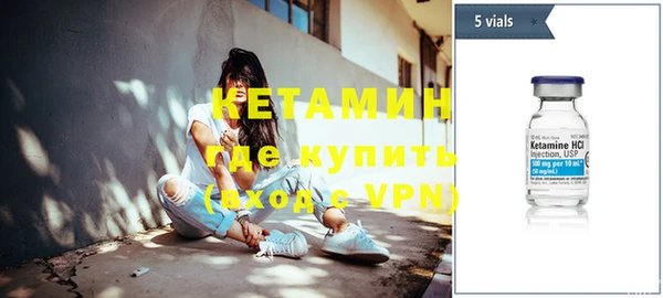 шишки Инта
