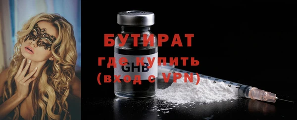 шишки Инта
