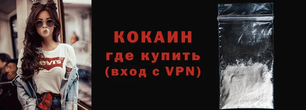 шишки Инта