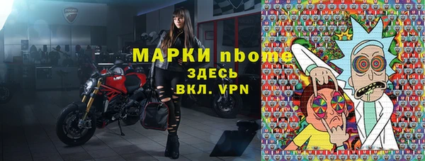 шишки Инта