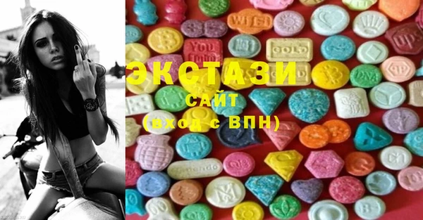 шишки Инта