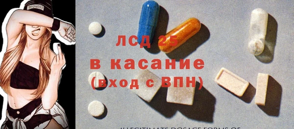 шишки Инта