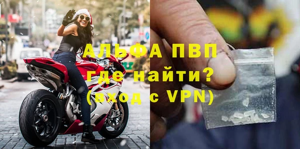 шишки Инта