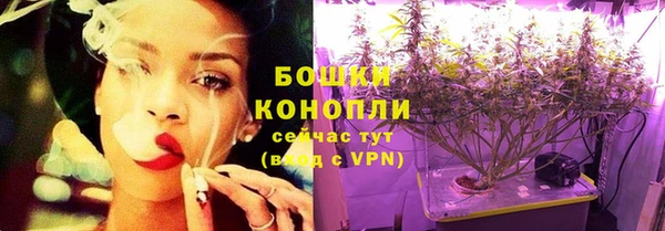 шишки Инта