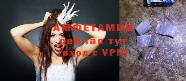 шишки Инта