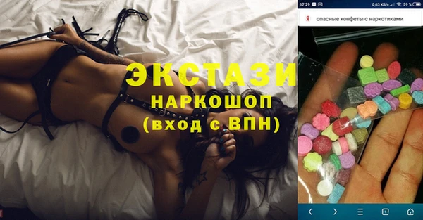 шишки Инта