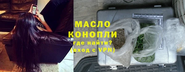 шишки Инта
