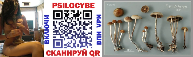 Галлюциногенные грибы мицелий  Купить  Зеленогорск 